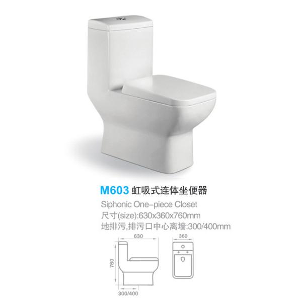 Siphonic One-piece Toilet M602