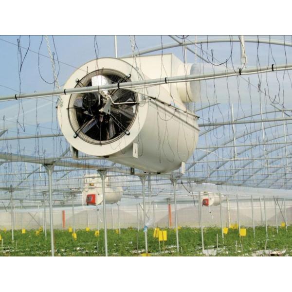 Wet Curtain Controlled Inlluminating Greenhouse