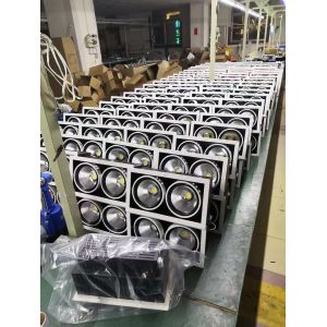Zhongshan Ruinuo Lighting Co.,Ltd.