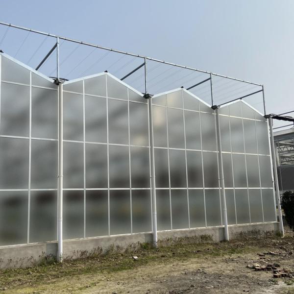 Beautiful Polycarbonate Sheet Greenhouse Plastic With Dome Roof Customized