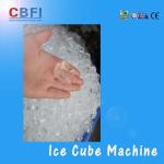 Best Automatic 1 Tons Cube Ice Making Machine for Cube Ice Selling Factory with