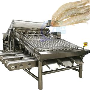 China Lobster sorting and grading machine Shrimp grading machine Shrimp sorting machine on sale