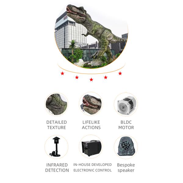 Lifelike Real Life Size Dinosaurs Model for Amusement Park And Museum