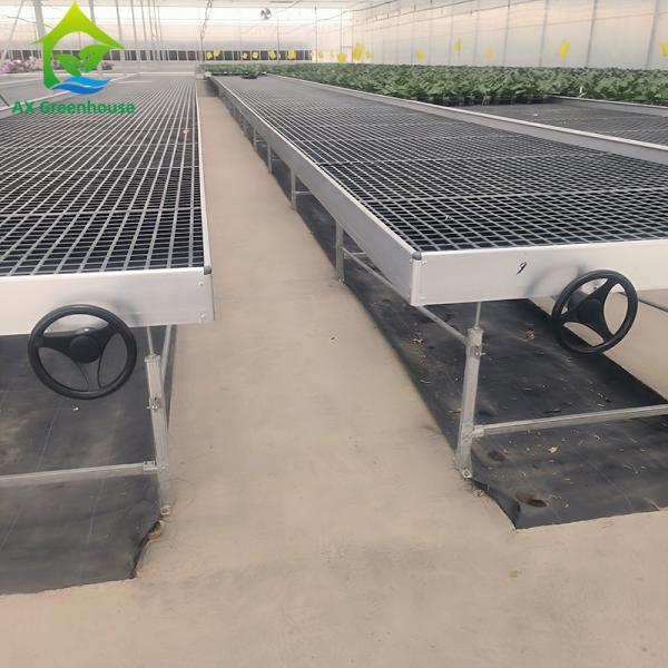 Ebb And Flow Greenhouse Farming Flower Grow Table Rolling Bench For Seedling