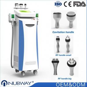 China Cryolipolysis fat freezeing cold therapy Cellulite cryo lipolysis vacuum slimming machine wholesale