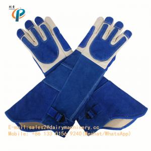 China Blue Color Leather Animal Control Gloves , Animal Handling Gloves For Dog / Cat wholesale