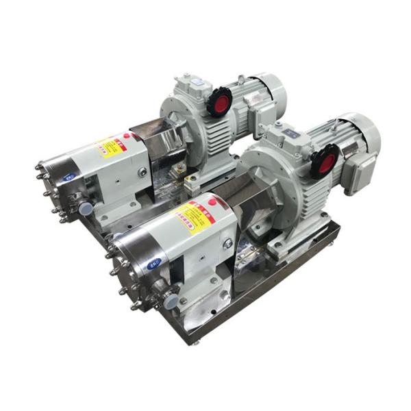 Rotary Positive Displacement Pumps With Stepless Speed Regulating Motor Reducer