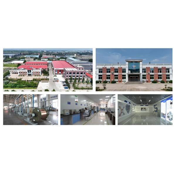 Fiber Optic FTTH Drop Cable SMF G657A2 GJXH Indoor Singlemode 1 Thread 2 Threads 4 Thread