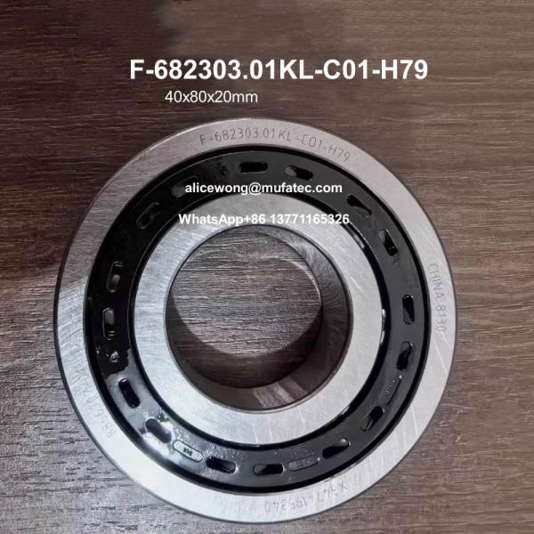 F-682303.01.KL-C01-H79 F-682303 New Energy Vehicle Motor Bearings 40x80x20mm Ball Bearings