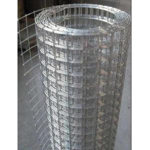 China 1/2'' 1'' 3/4'' 2'' Size Welded Steel Wire Mesh Electric Galvanized / Hot Dipped Galvanized wholesale