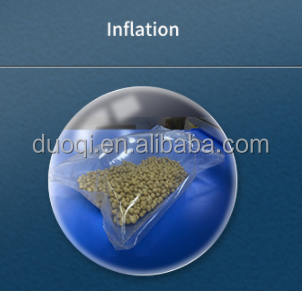 Automatic Chamber Vacuum Packaging Machine Easy Operation With App Control