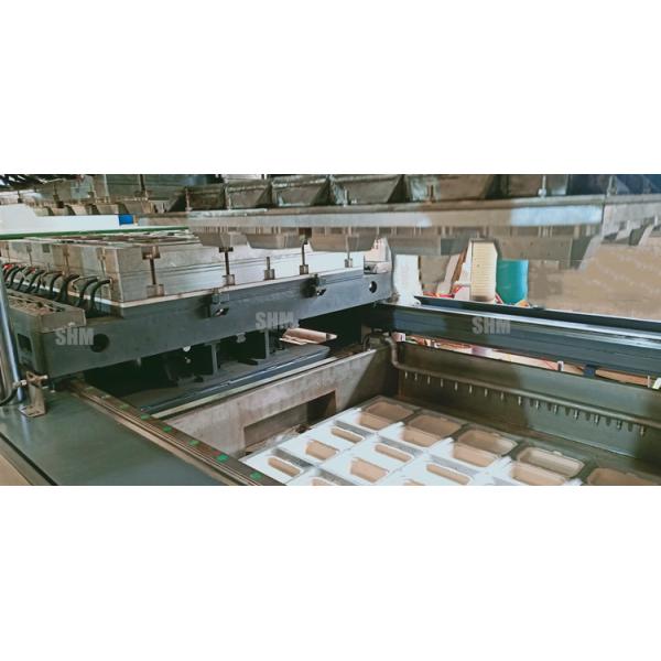 Biodegradable Pulp Molding Tableware Machine Disposable Dish Line