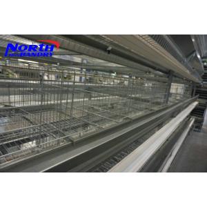 China Hot selling A frame automatic layer poultry cages in Nigeria wholesale