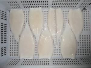 China Frozen squid tubes (Illex argentinus) wholesale