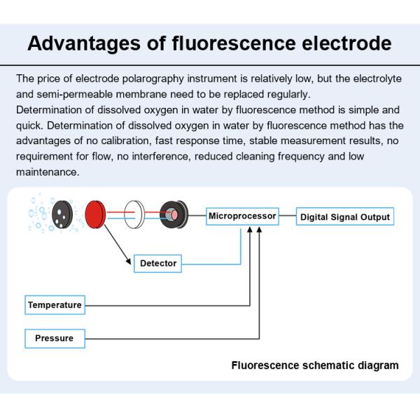 RS485 Optical Water Dissolved Oxygen Sensor For Industrial Sewage Water Treatment