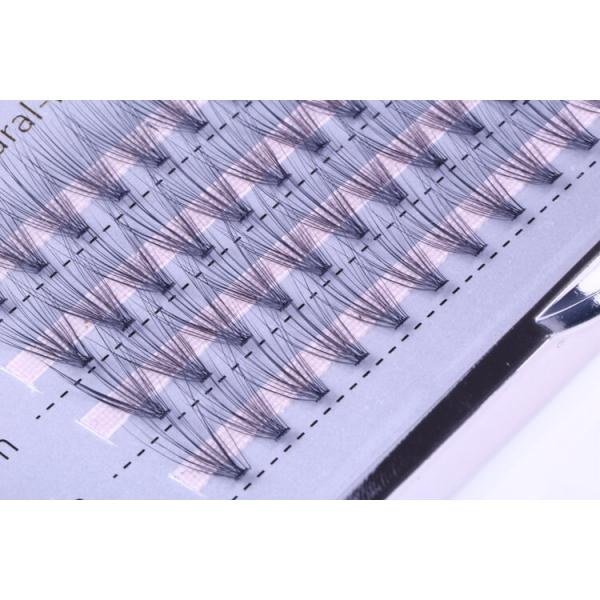 D Curl 5D Volume Lash Extensions with 0.03mm Thickness