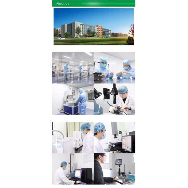 Zebra Hydrophilic Guide Wire Straight Angled Endoscopy Accessory