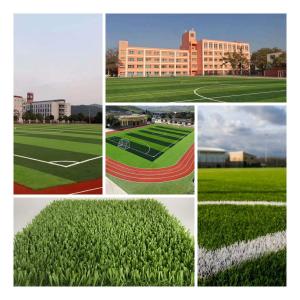 China Portable Non Infill Synthetic Football Turf 30mm Artificial Soccer Grass wholesale