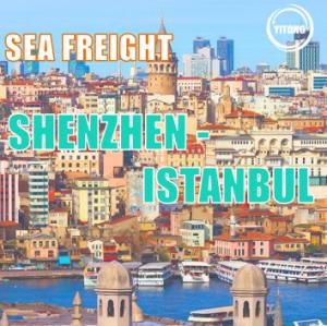 China 25 days International Sea Cargo Shipping Logistics  From Shenzhen To Istabul wholesale