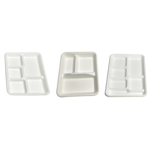 Best Disposable Paper Lunch Box Making Machine Using Bagasse Pulp