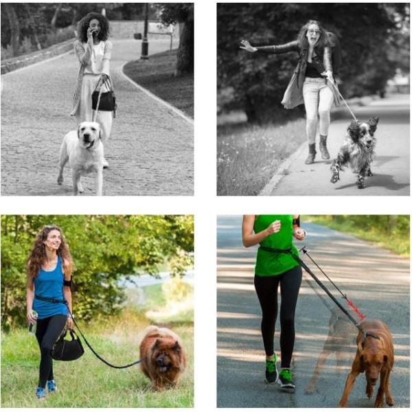 2 In 1 Hands Free Retractable Dog Leash Easy Grip Handle OEM / ODM Available