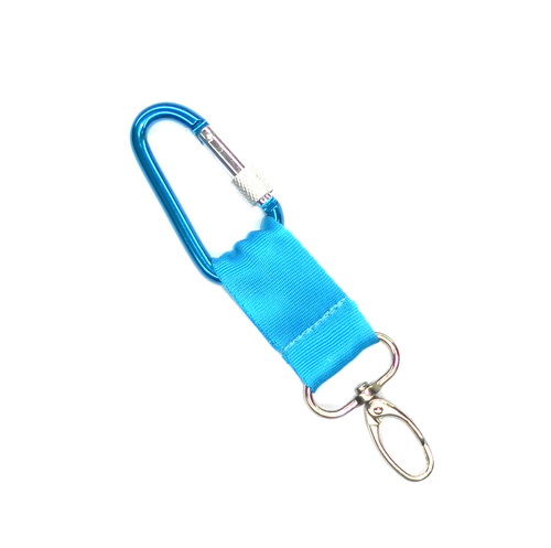 Nylon Blue Personalized Metal Carabiner Clips For Climbing / Outing Exploring
