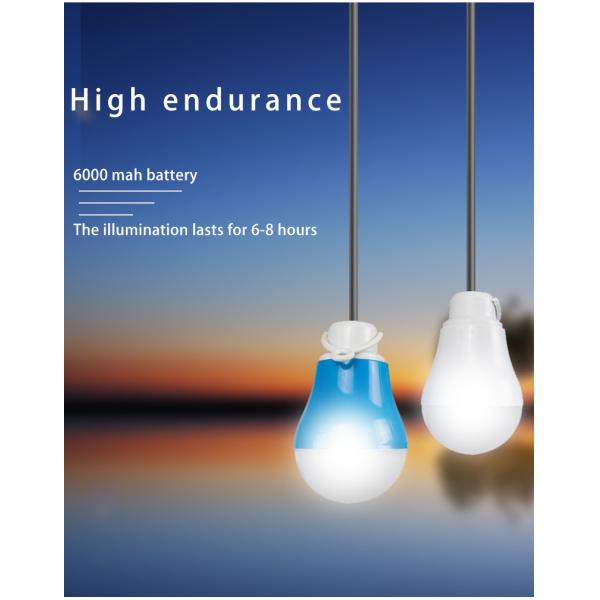 CE MSDS IEC Plastic Solar Home Lighting System With Power Bank