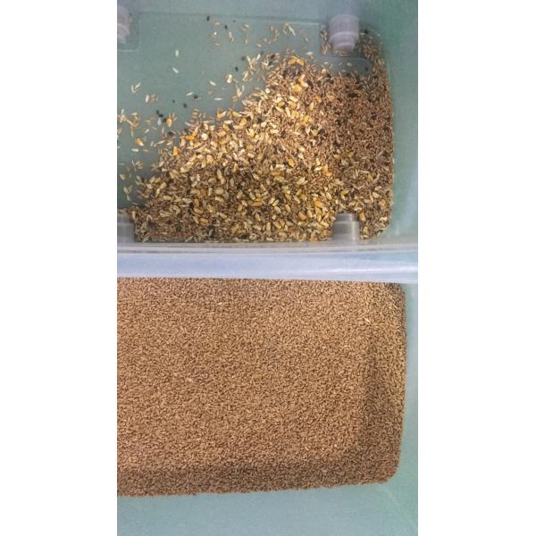 7 Chutes 448 Channels Wheat Color Sorter Machine With 99.999% Sorting Accuracy