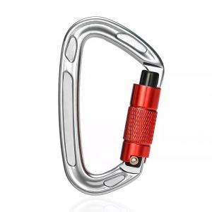 China Sale Polished Aluminum Alloy Dog Leash with Precision Casting Screwgate Carabiner wholesale