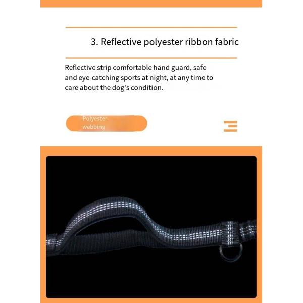 Pet Sports Running Reflective Material Leash Dog Double Handle Leash With Waist Bag Set