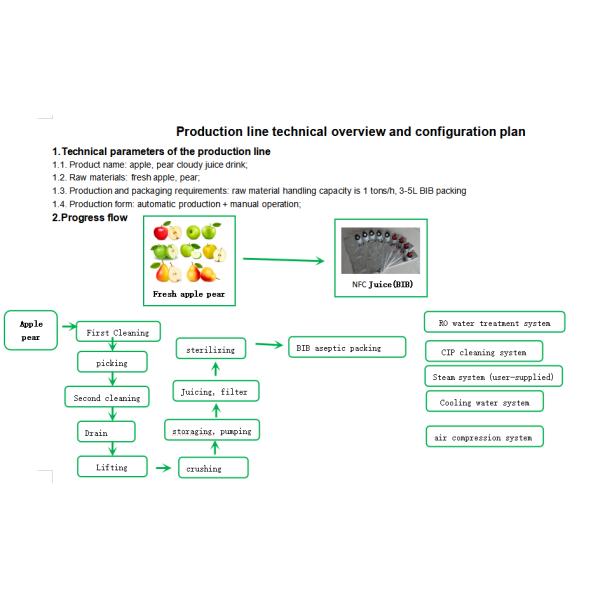 Fresh Juice Bib Packing Fruit Juice Production Line 1 Ton Per Hour