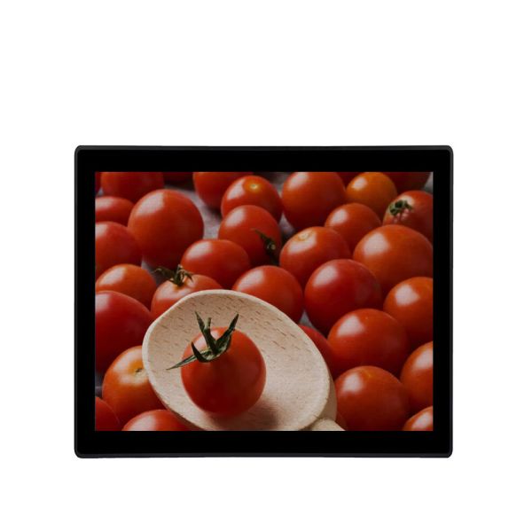 19" Industrial Touch Screen Monitor VGA DVI Input Kiosks Waterproof LCD Monitor