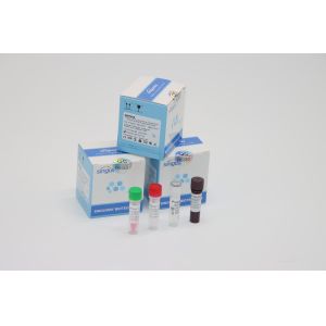 Buy cheap Lab Using RT PCR Covid Test Kits Clinical LP Virus PCR Media Dual Swab Sample from wholesalers