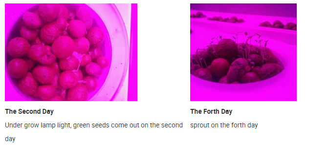 2700K 12 Watt Led Grow Bulbs / IP40 Indoor Led Grow Lights 160 Degree Beam Angle