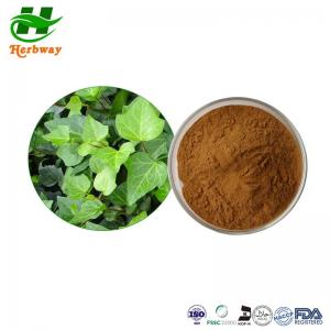 China HPLC 10%Hederacoside C CAS 14216-03-6 Ivy Leaf Extract Hvederahelix L on sale