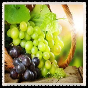 China organic grape seed extract 95% on sale
