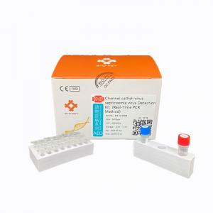 China Aquatic CCV Channel Catfish Virus RT PCR  Test Septicaemia Virus  Kidney tissue qPCR Kit on sale