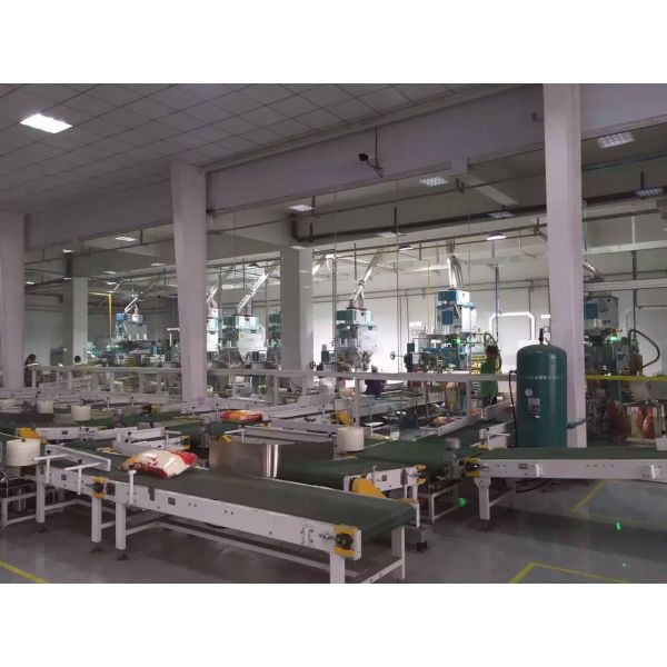 Servo Motion Multifunction Automated Packaging Lines Converying Robot Palletzing System