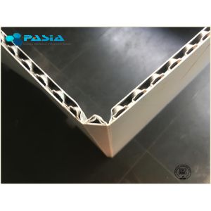 China High Density Honeycomb Products Synthetic Resin Special Molding X Shaped Hollow Turnover Box wholesale