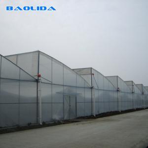 China Vegetable Polyethylene Plastic Sheeting Greenhouse Galvanized Steel Frame wholesale