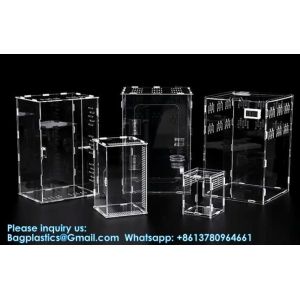 China Acrylic Reptile Terrarium Clear View Transparent Acrylic Box Feeding Box For Small Animals Insect wholesale