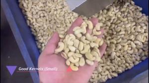 China Advanced Cashew Sorting Equipment For Vietnamese Processors With Local Support And AI-Driven Nut Sorting wholesale
