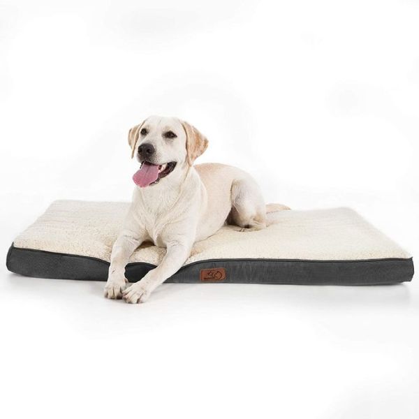 BSCI XL Orthopedic Memory Foam Pet Bed Non Slip Suede