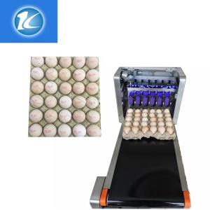 China Automatic Continuous Inkjet Batch Coding Machine / Egg Grading Equipment wholesale