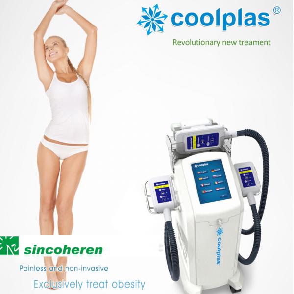 Quality Vertical Type  Fat Freeze Slimming Machine 300mm × 400mm × 900mm for sale