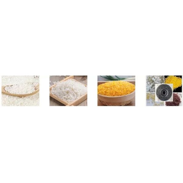 Stainless Steel Artificial Rice Production Line Extruded Rice Making Machine