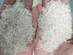 Sorting Broken Rice Color Sorter Machine With Screenshot Function