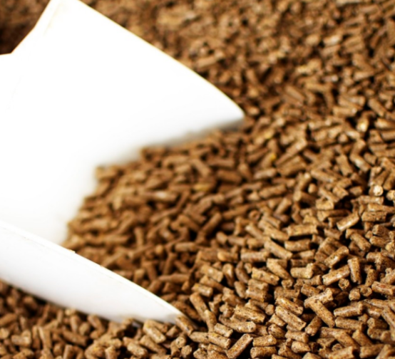 3 - 4ton / H PLC Aquatic Pets Feed Production Line 35 * 6 * 7M Commercial Use