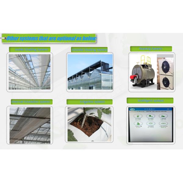 Customization Commercial Gothic Type Greenhouse With Electric Systems