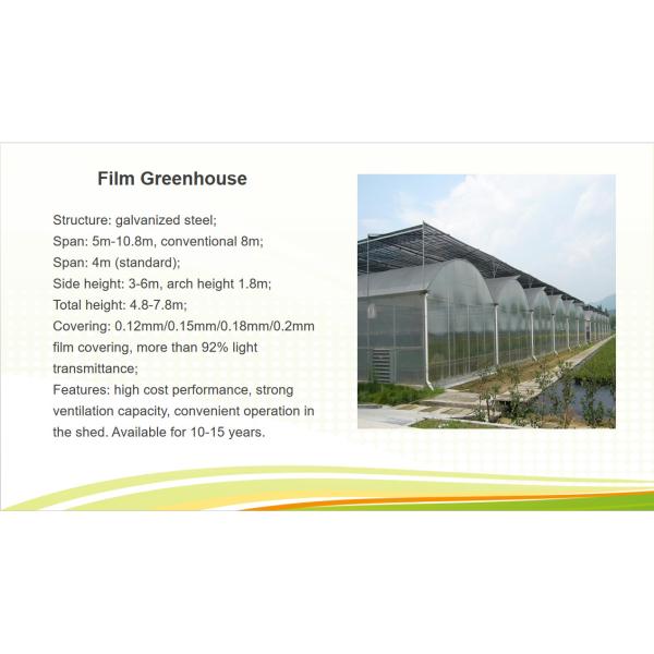 Commercial Multi Span Greenhouse Plastic Film Greenhouse For Vegetable Growing